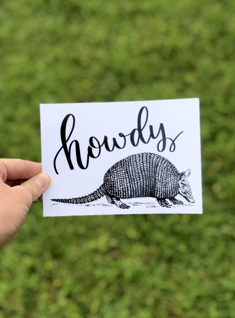 Howdy Armadillo Postcard