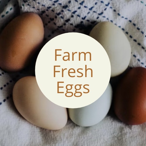 Farm Fresh Eggs